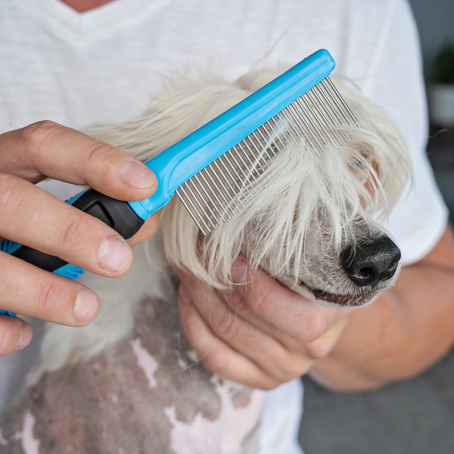 Zugo 29 Pin Comb
