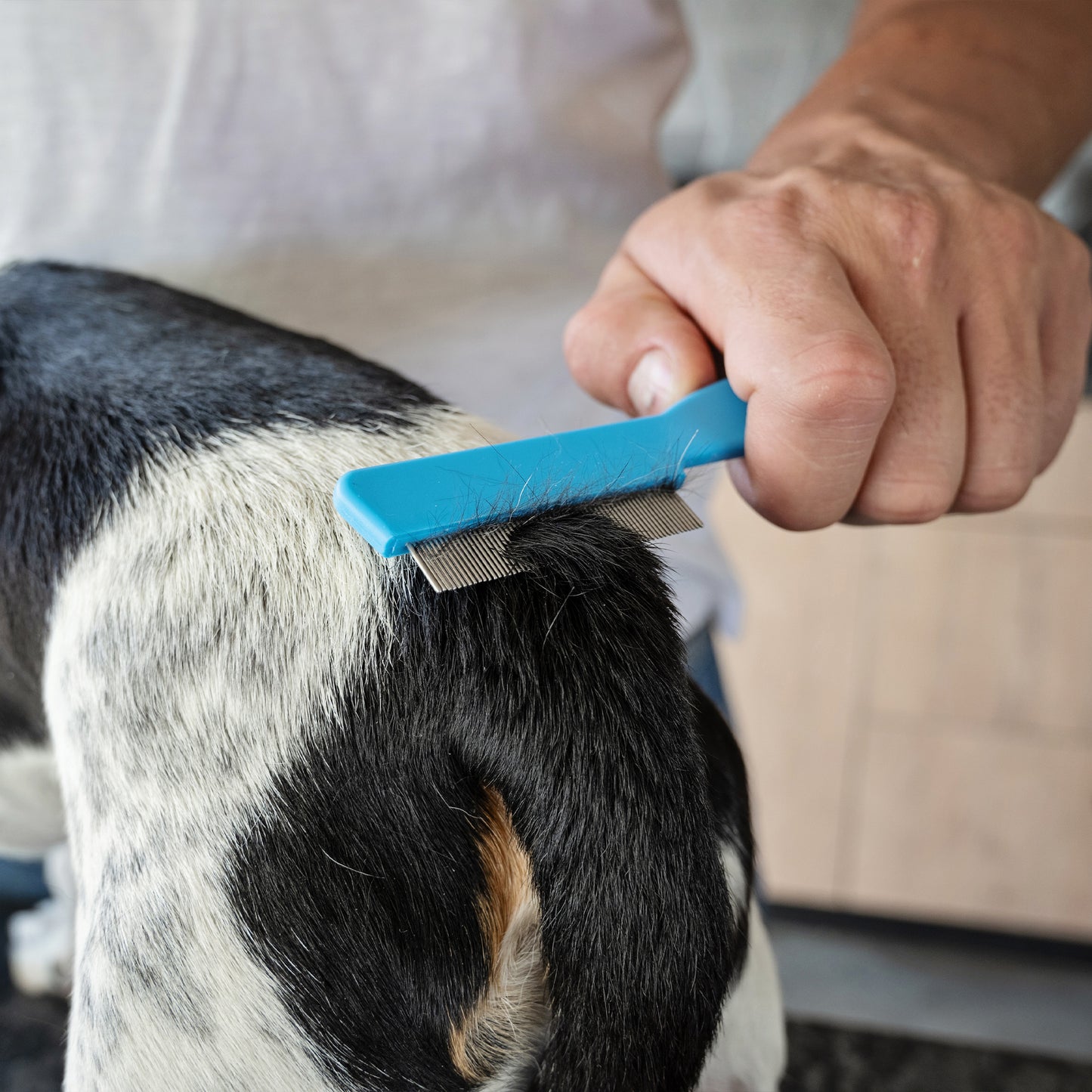 Zugo Flea Comb