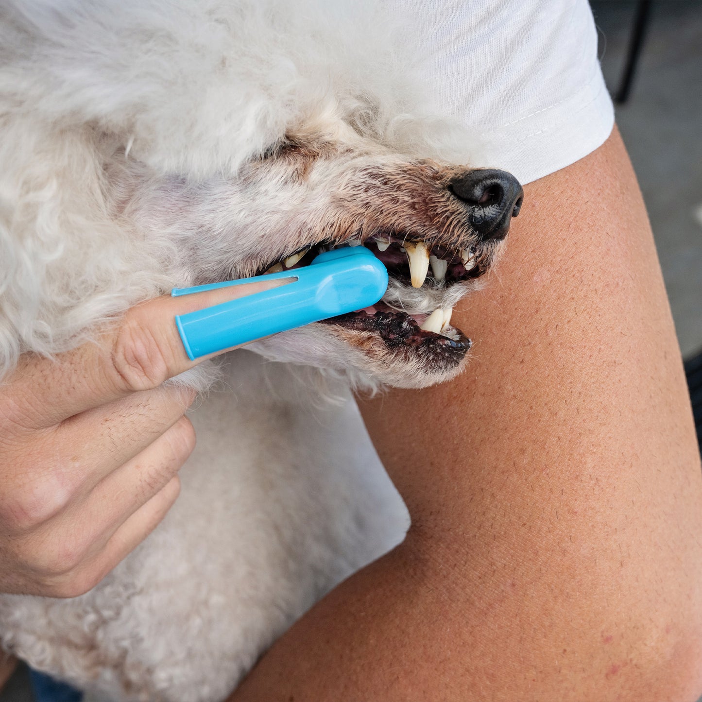 Zugo Tooth Brush Finger