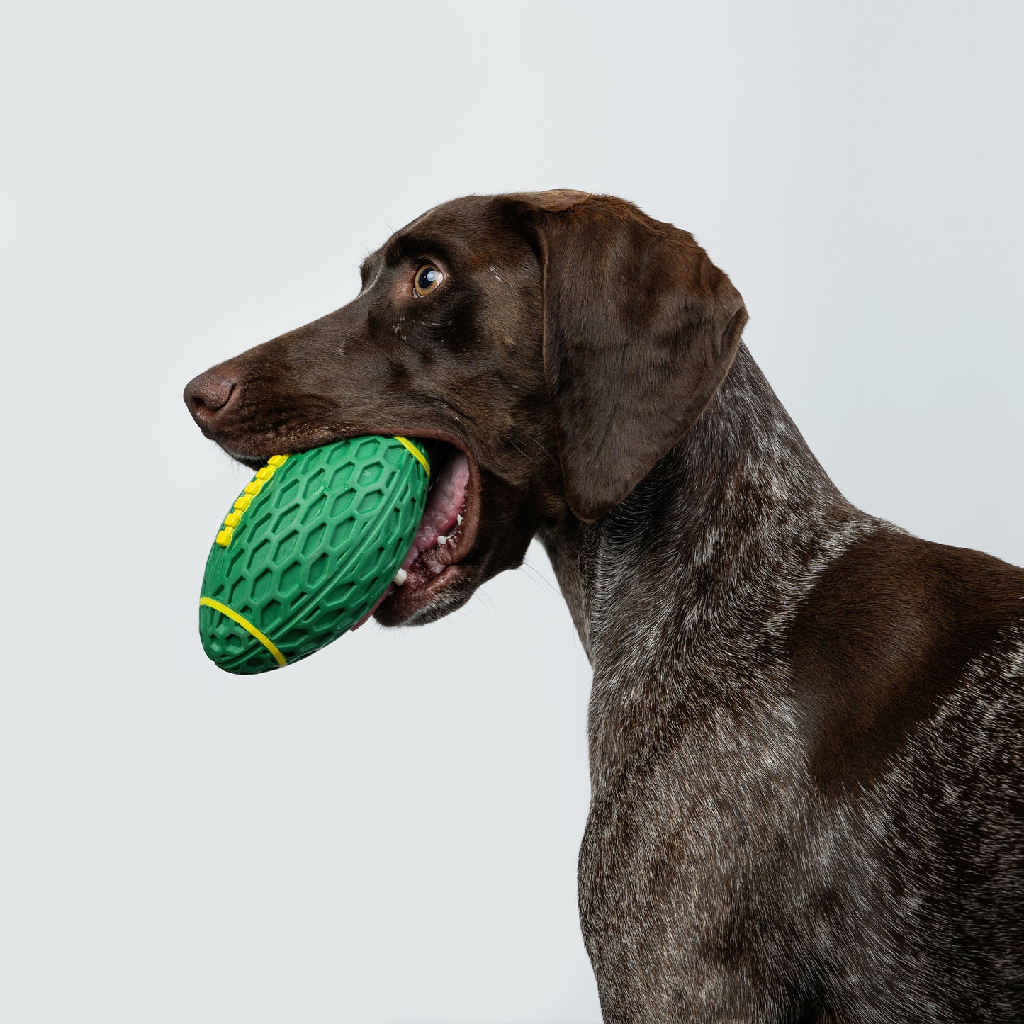Zugo Rugby Ball Rubber Toy
