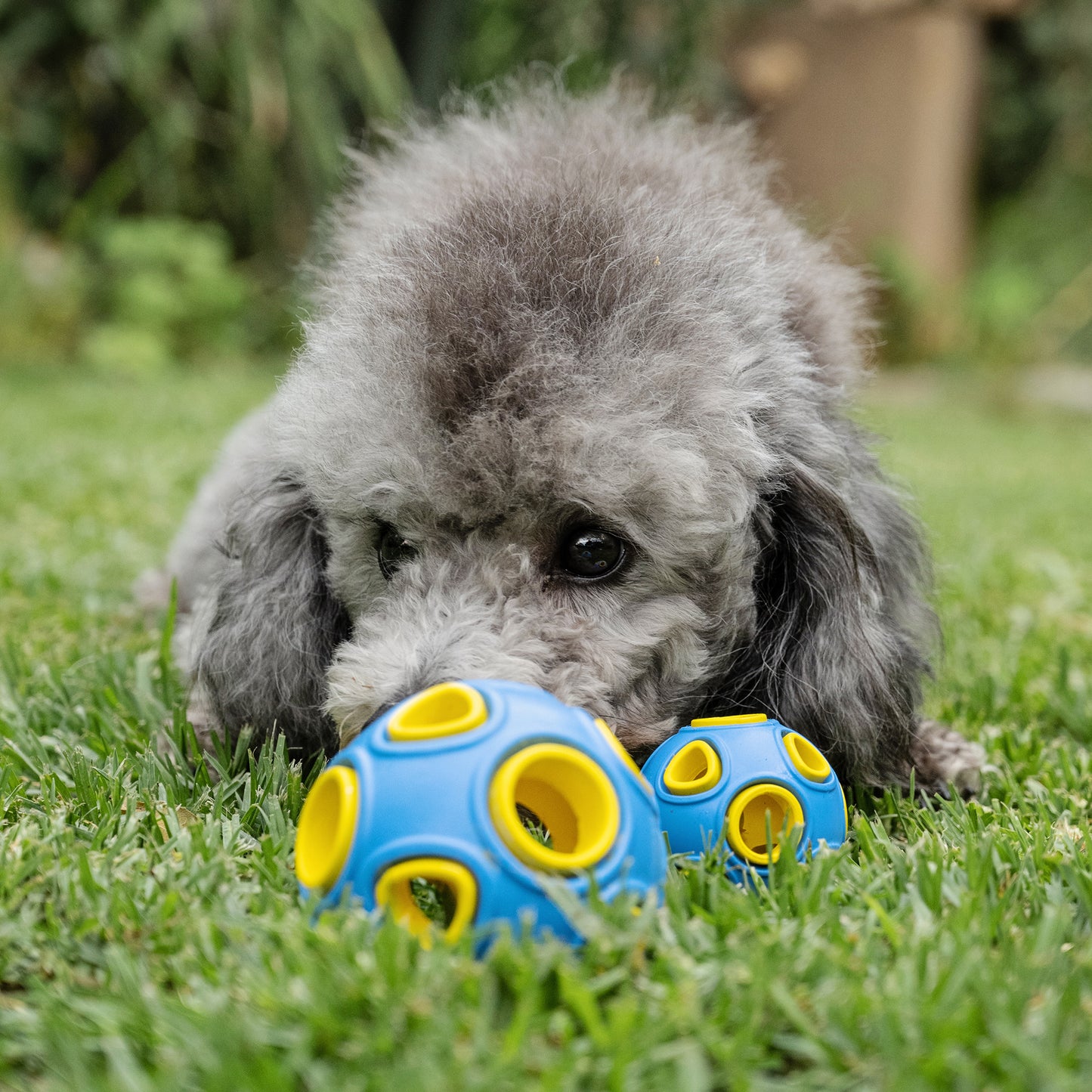 Zugo Whirlball+ Rubber Toy
