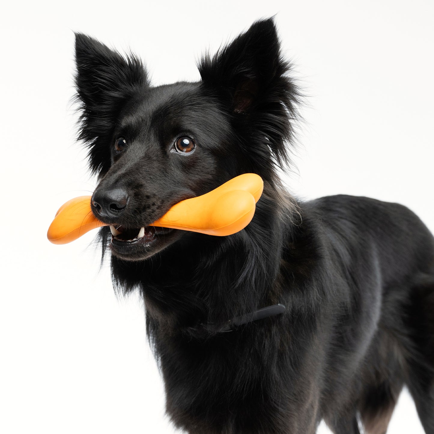 Zugo Bone Rubber Toy