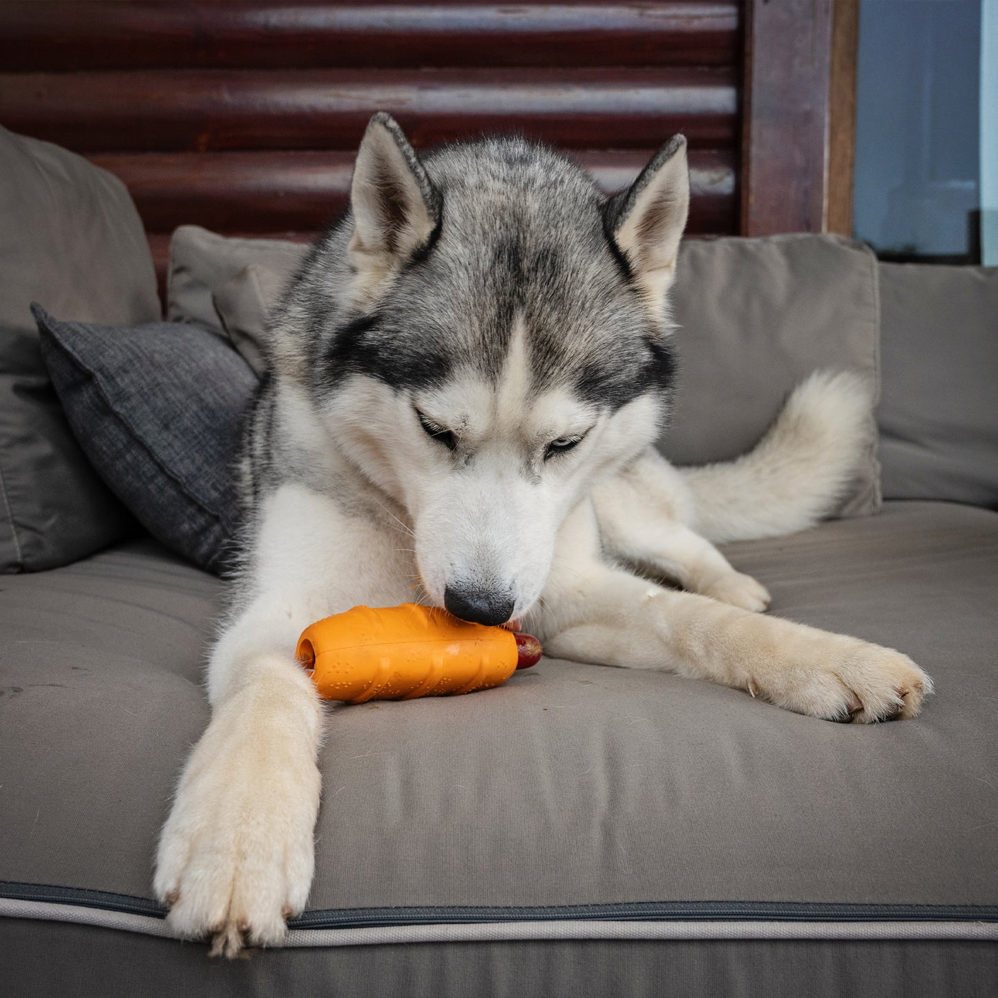 Zugo Hot Doggy Rubber Toy
