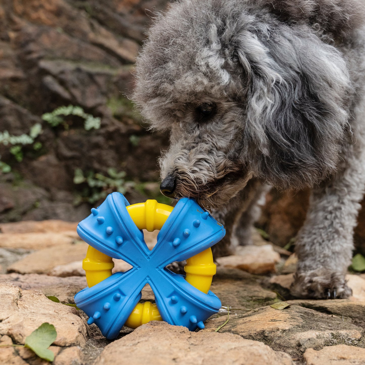Zugo Biteblast Rubber Toy