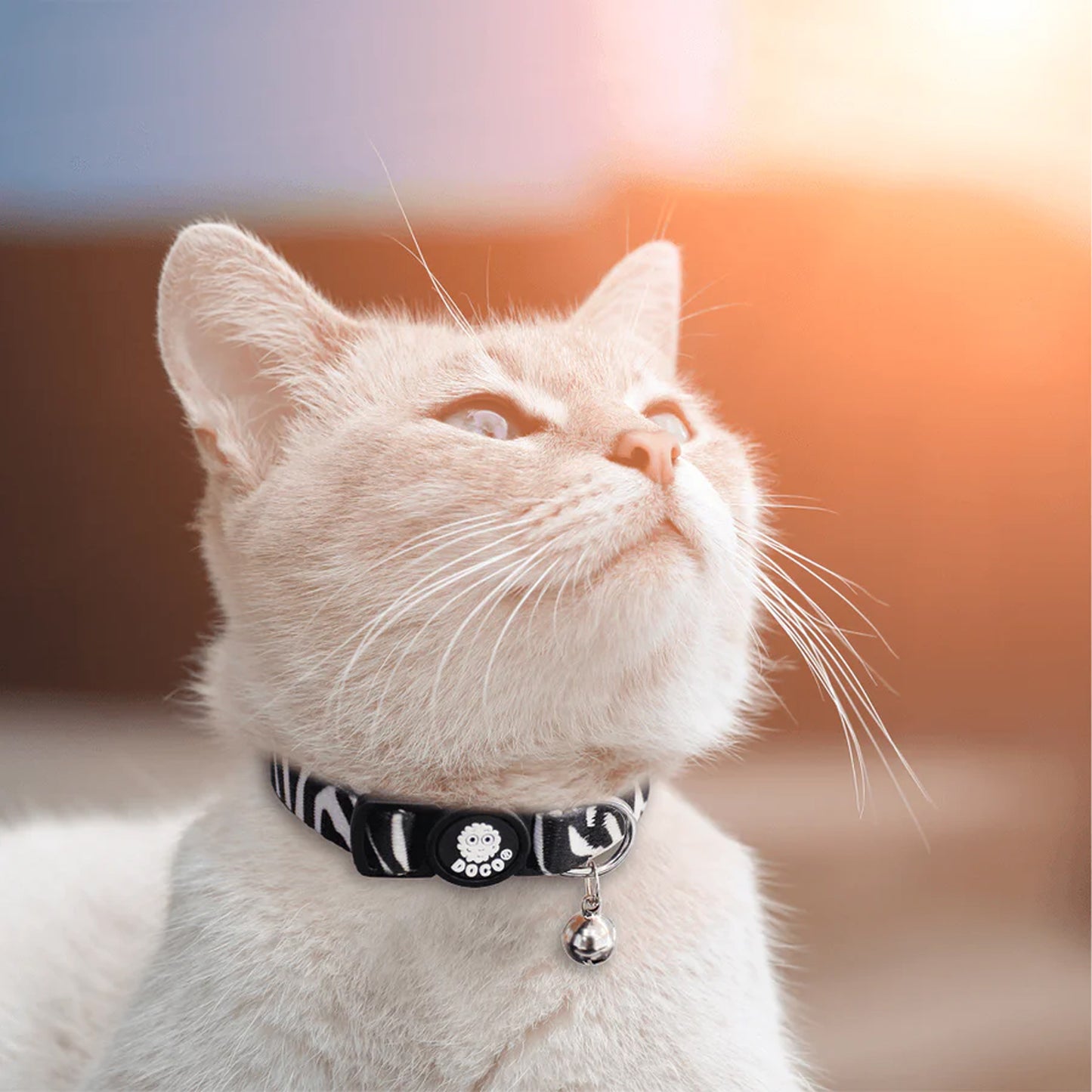 Doco Loco Cat Collar