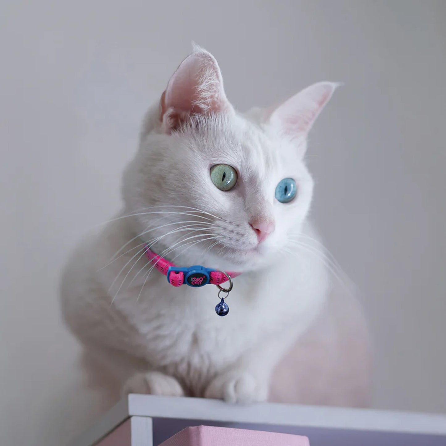 Doco Puffy Cat Collar