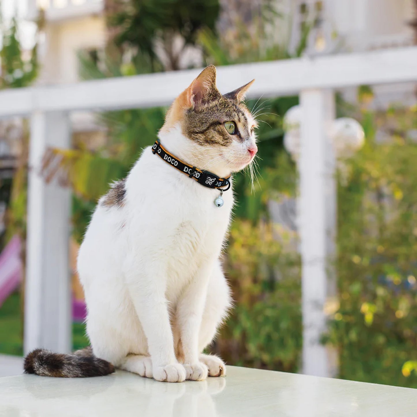 Doco Cat Collar