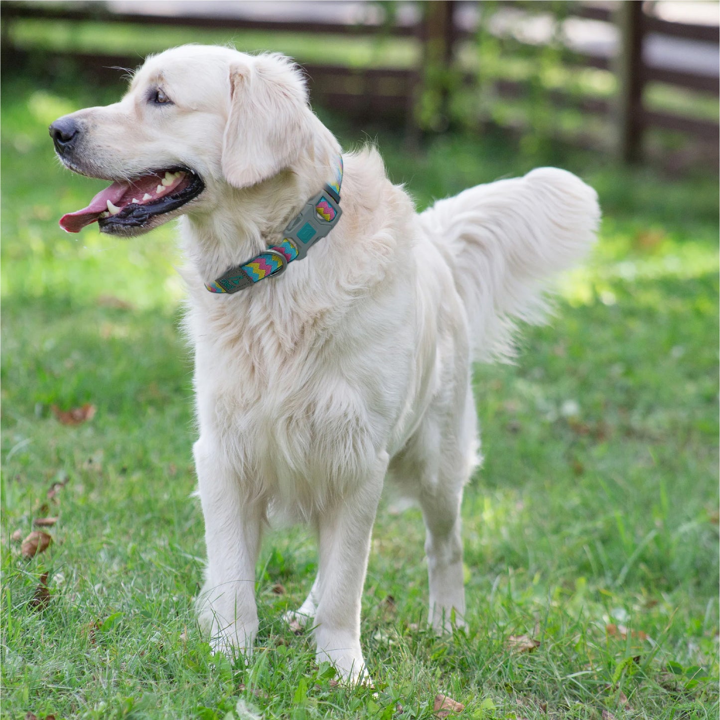 Doco Jacquard Weave Dog Collar