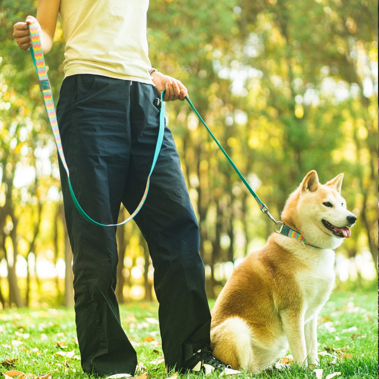 Doco Jacquard Weave Dog Leash
