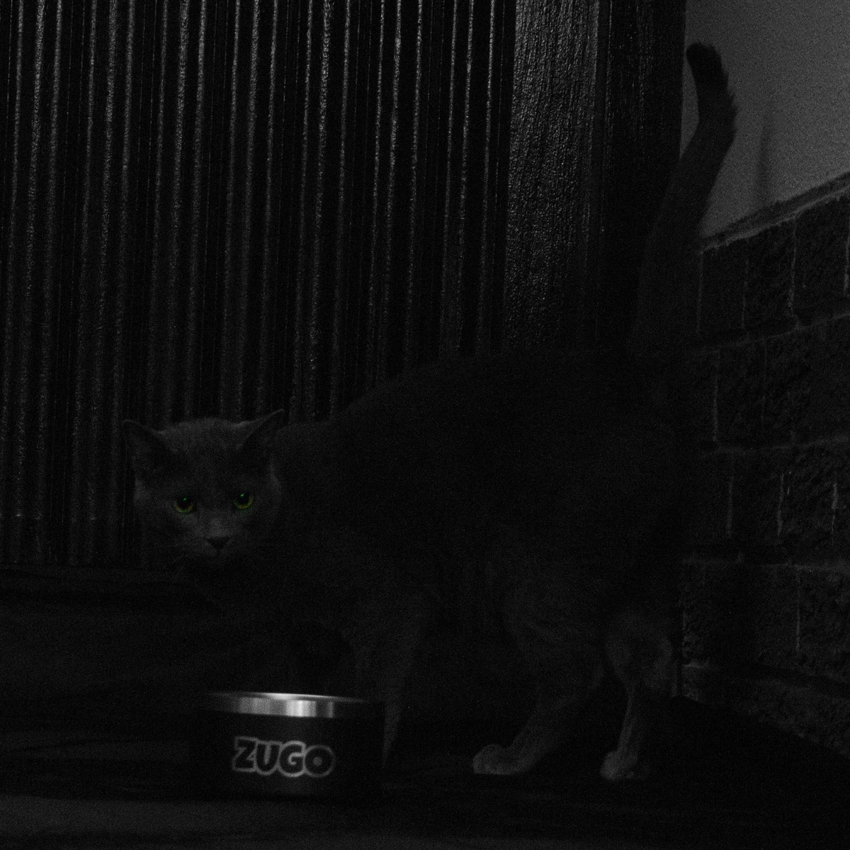 Zubowl Stainless Steel Bowl