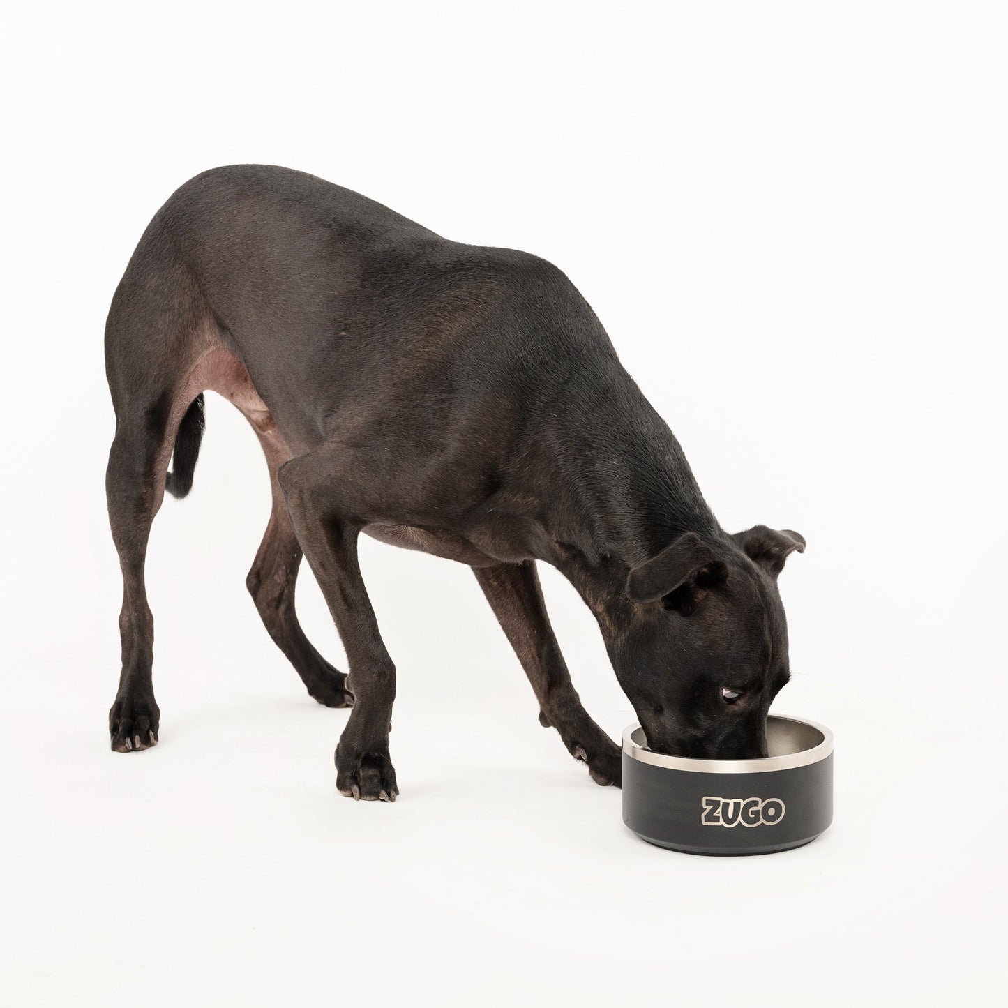 Zubowl Stainless Steel Bowl