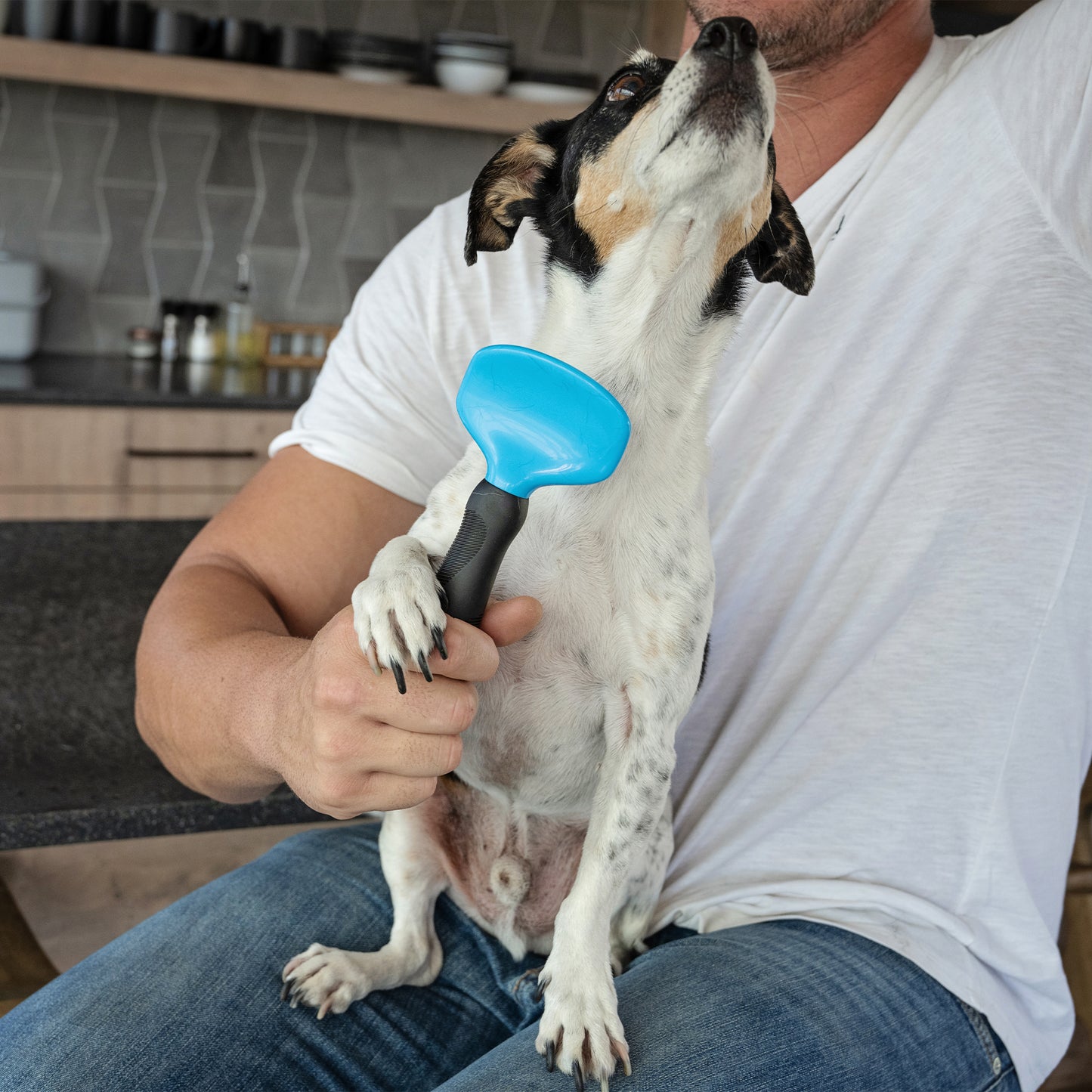 Zugo Slick Brush Small