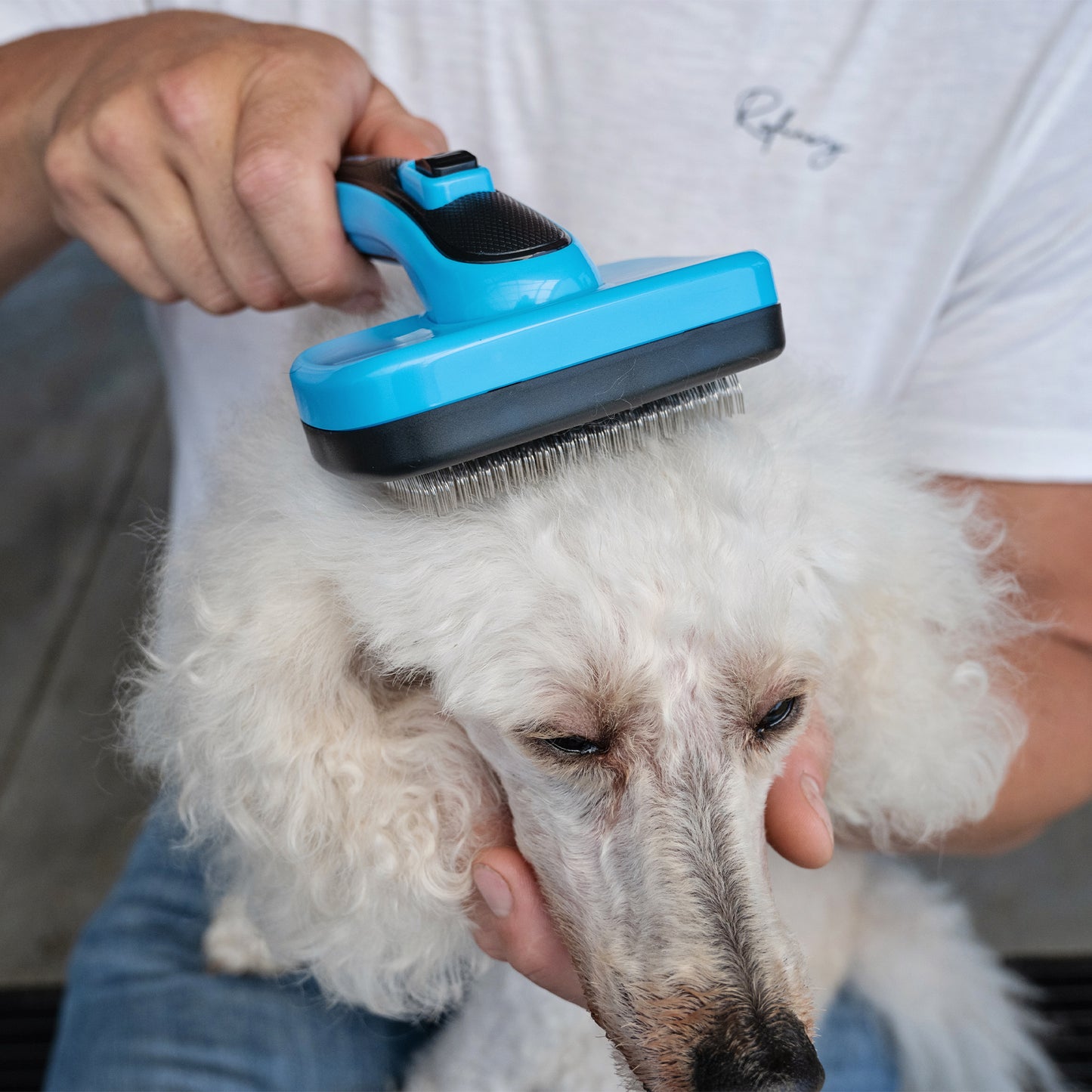Zugo Slick Brush Self Cleaning Large