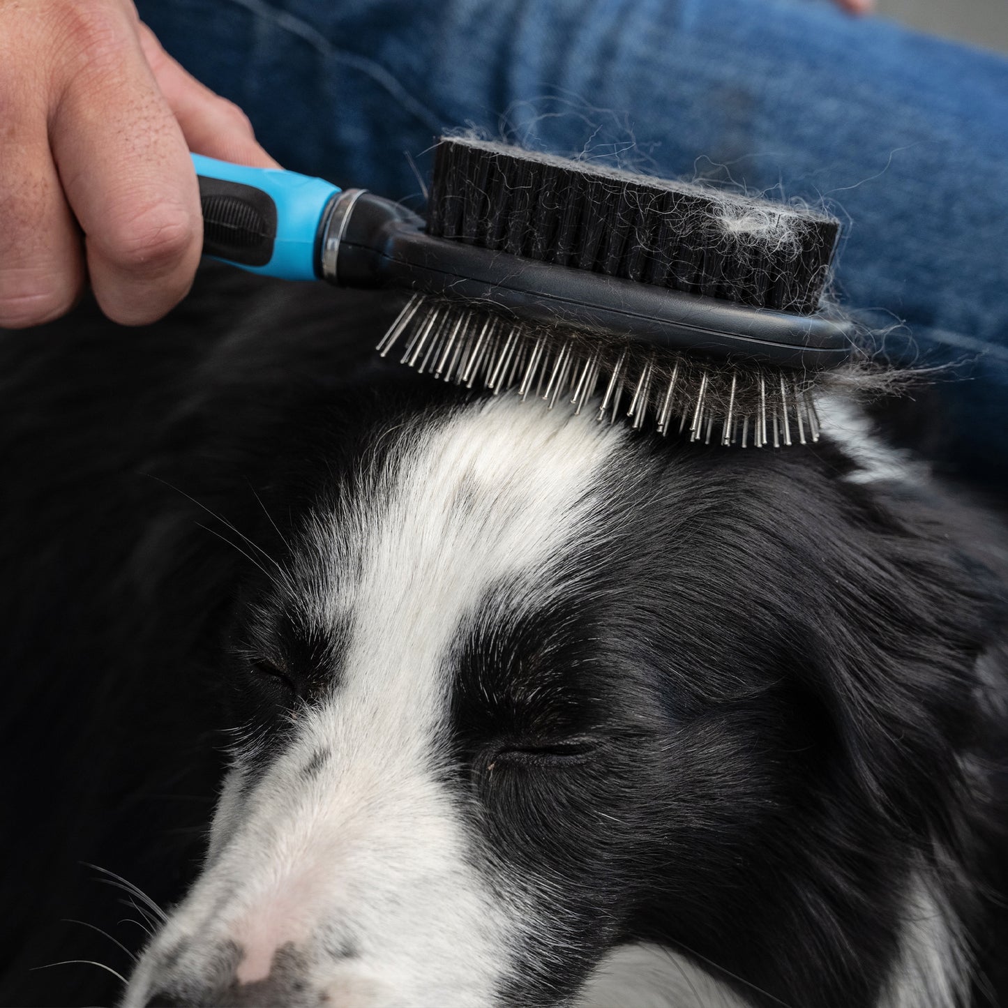 Zugo Multi Purpose Brush Small