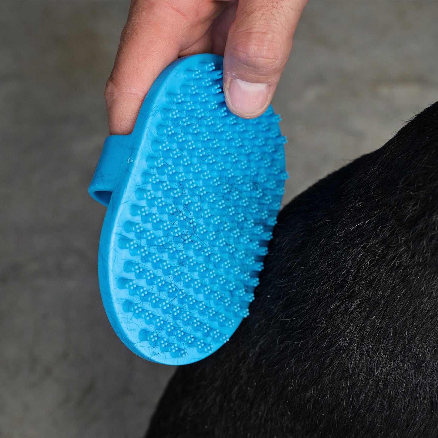 Zugo Message Brush Short Bristle