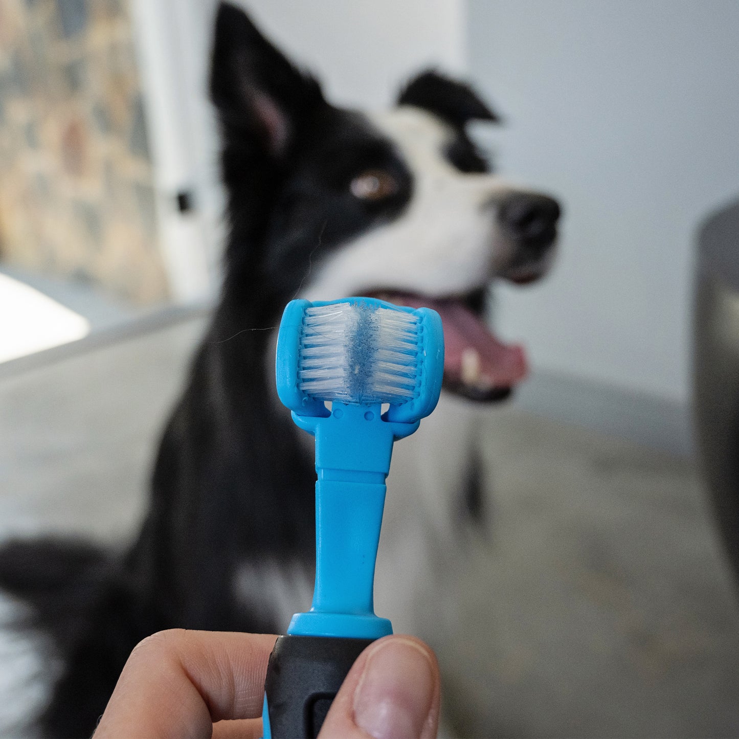 Zugo Tooth Brush 3 Sided