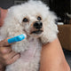 Zugo Tooth Brush Finger