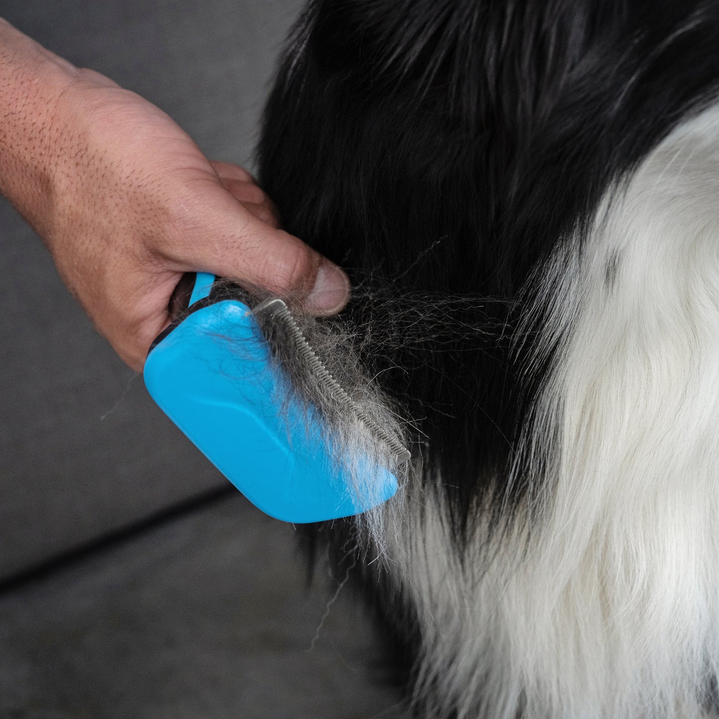 Zugo Deshedding Brush S/clean