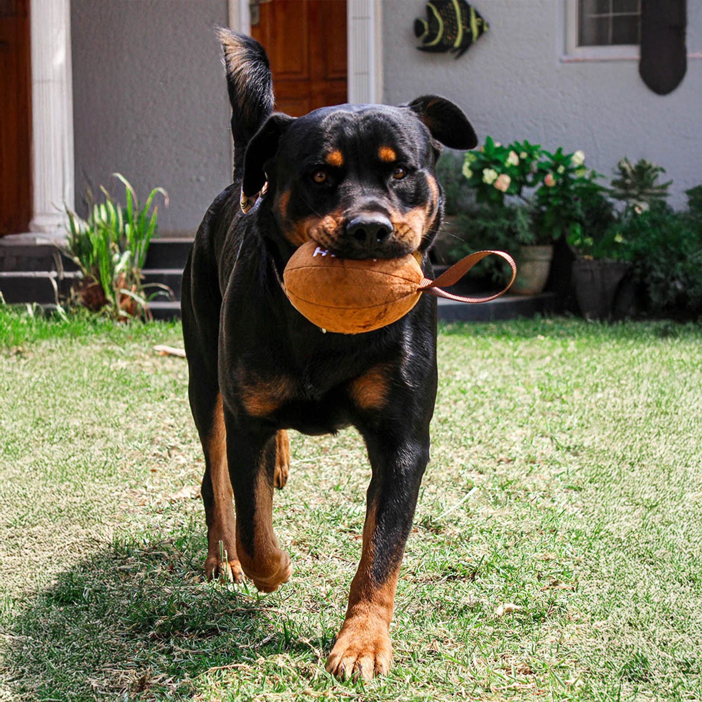 Zugo Plushball Plush Toy
