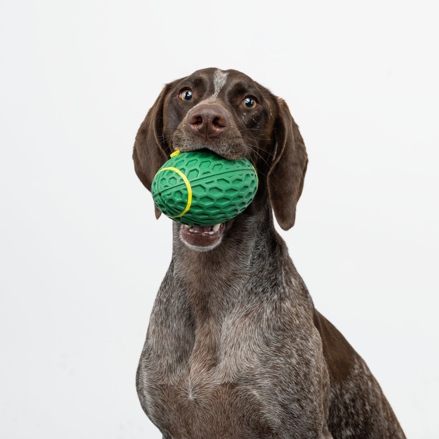 Zugo Rugby Ball Rubber Toy