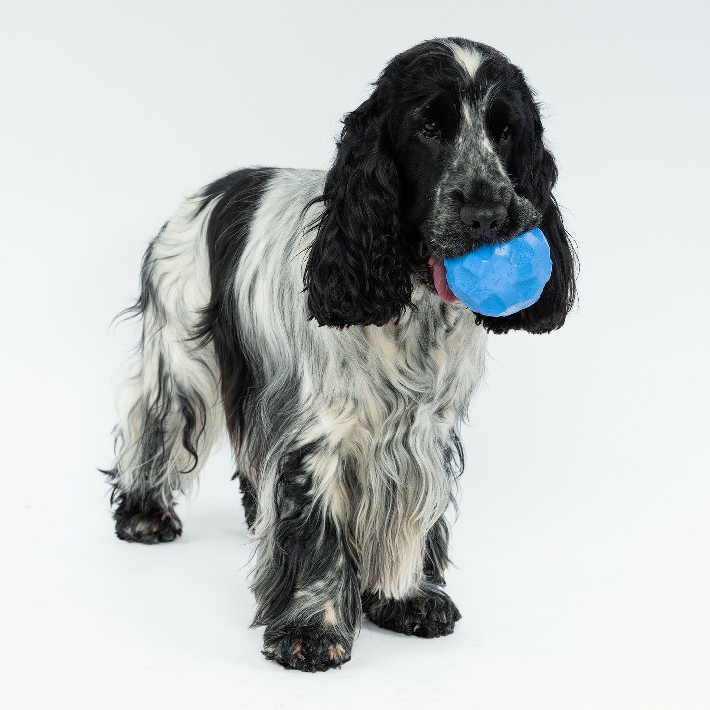 Zugo Treat Tumbler Rubber Toy