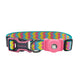 Doco Airtag D24 Dog Collar