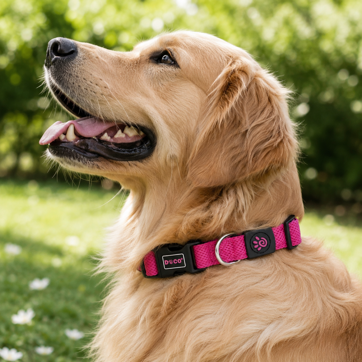 Doco Puffy Air Dog Collar