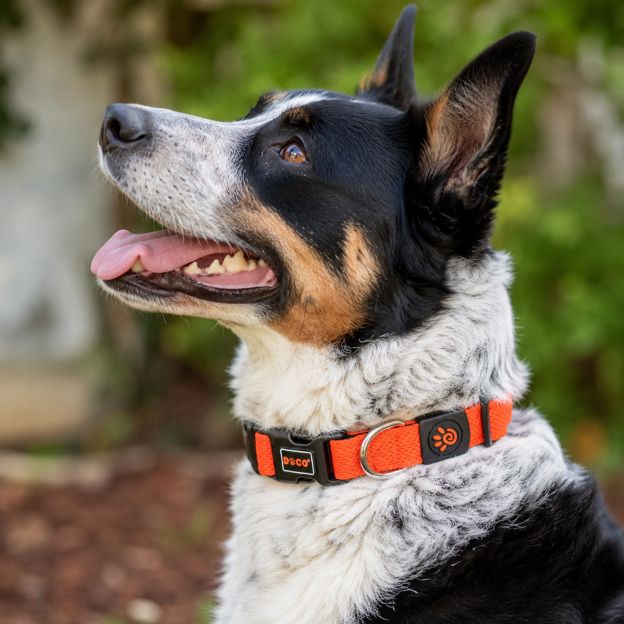 Doco Puffy Air Dog Collar