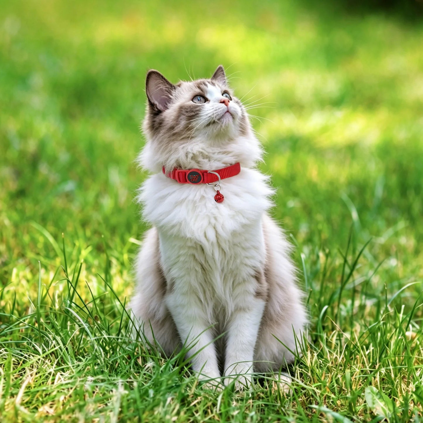 Doco Furball Cat Collar