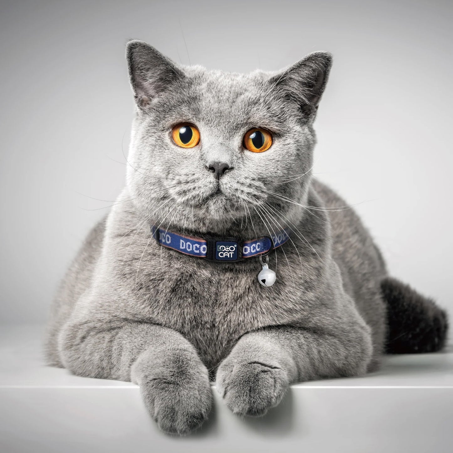 Doco Cat Collar