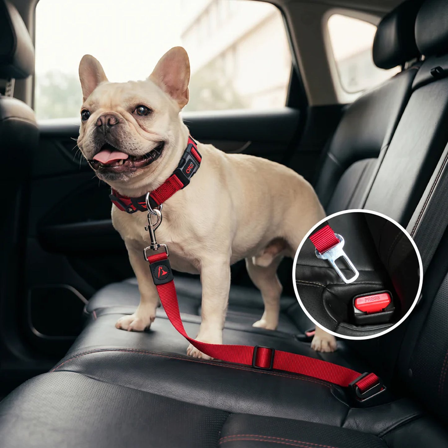 Doco Signature Dog Seat Belt