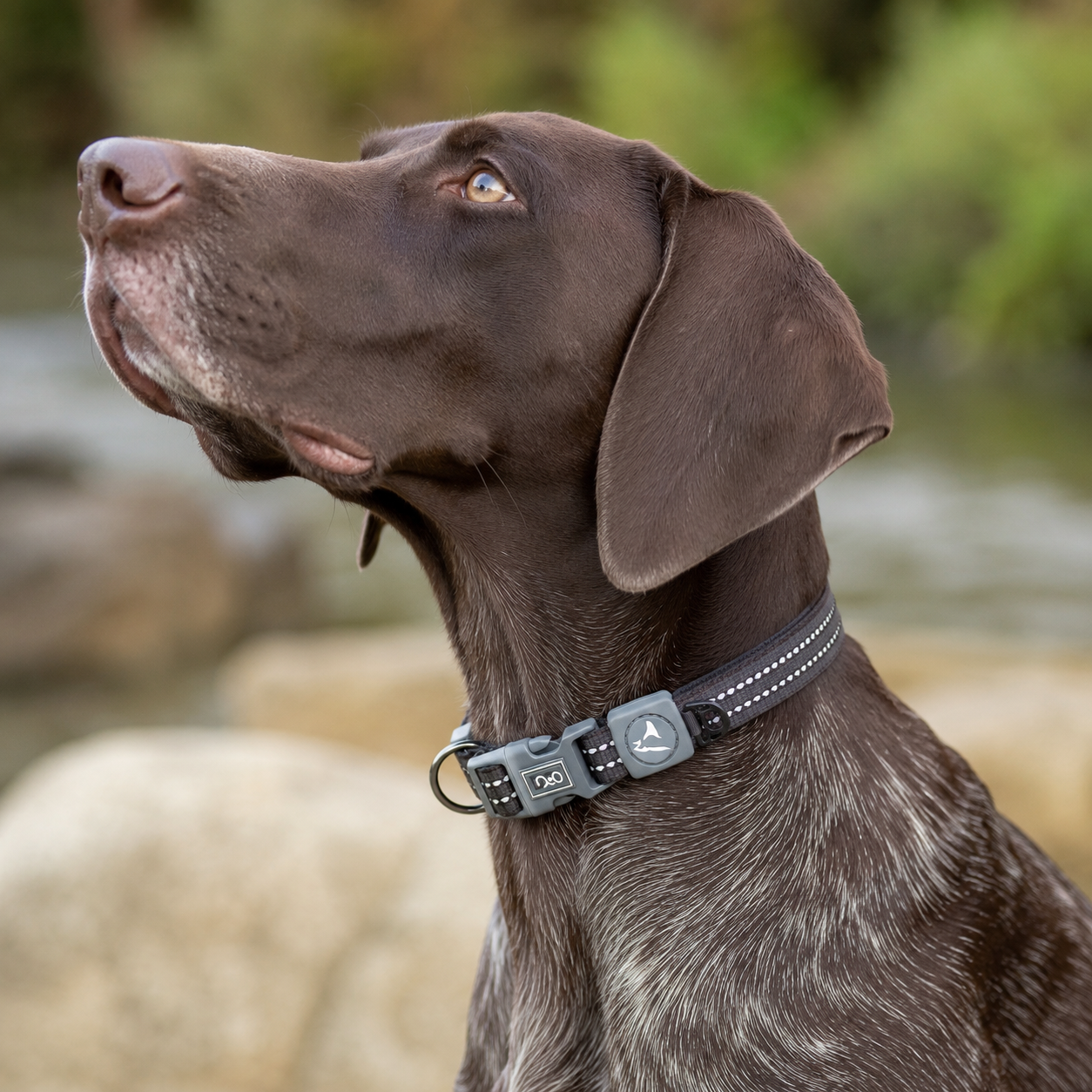 Doco Vario Dog Collar
