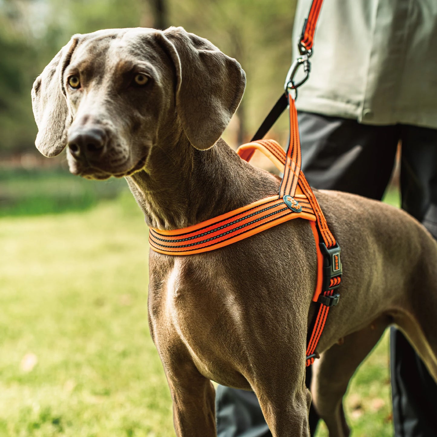 Doco Vario Dog Harness