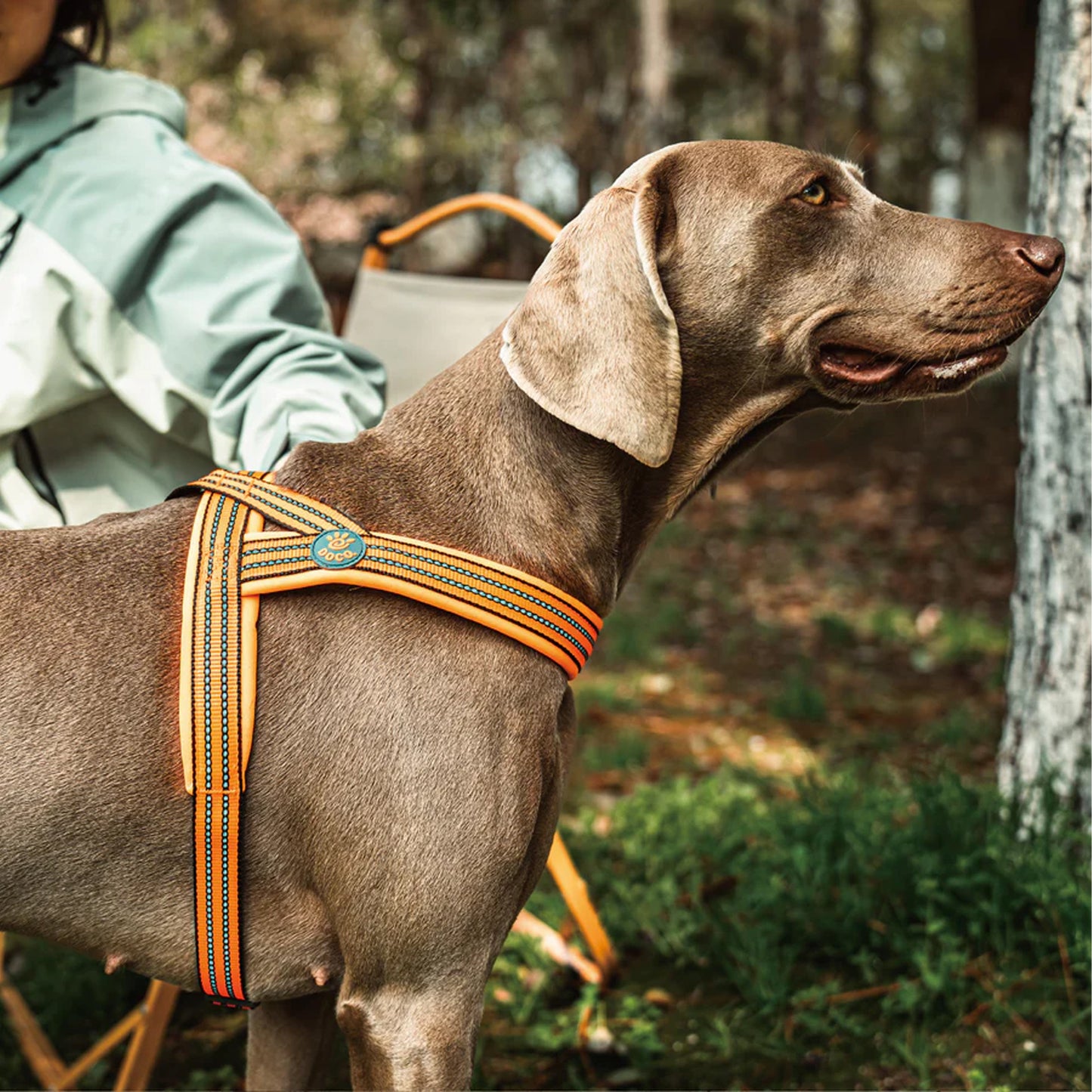 Doco Vario Dog Harness