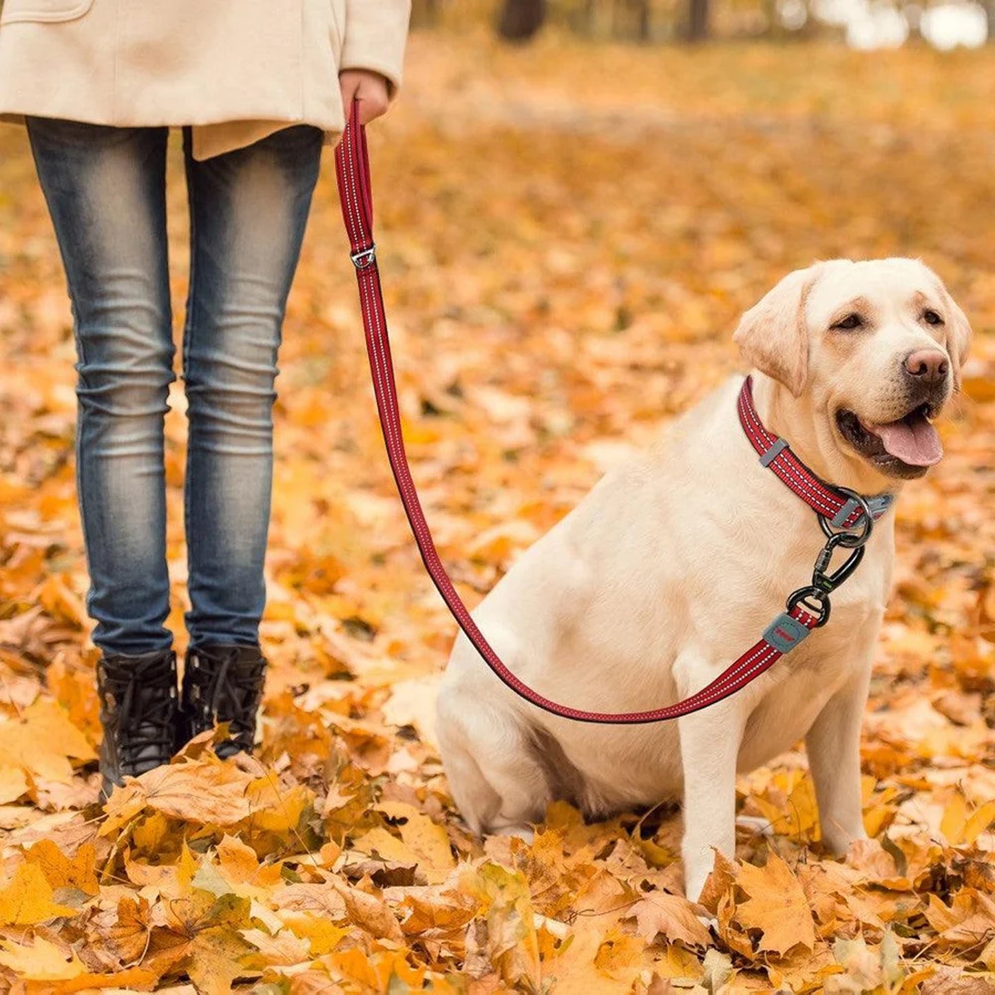 Doco Vario 180cm Dog Leash