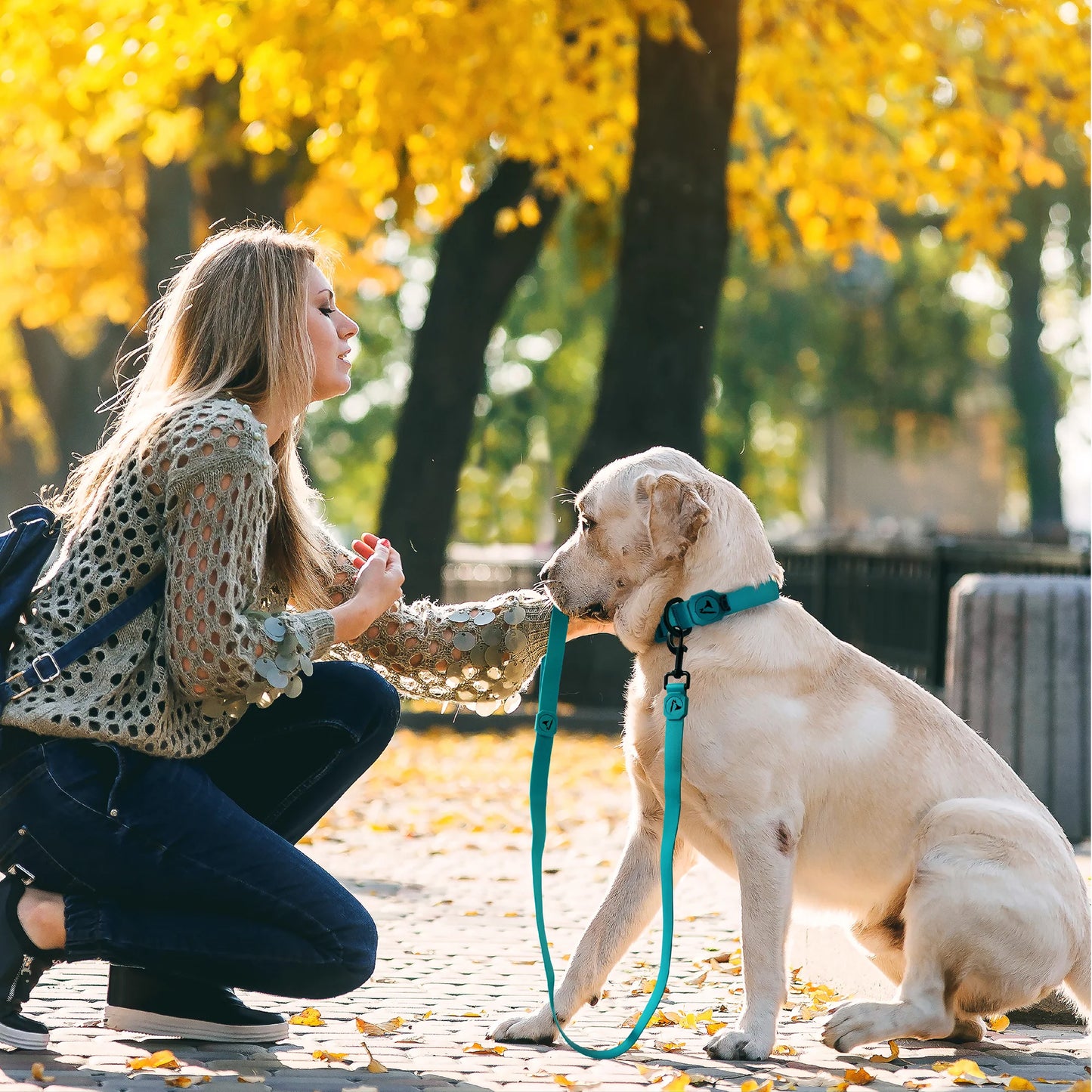 Doco Jelly Bean Dog Leash