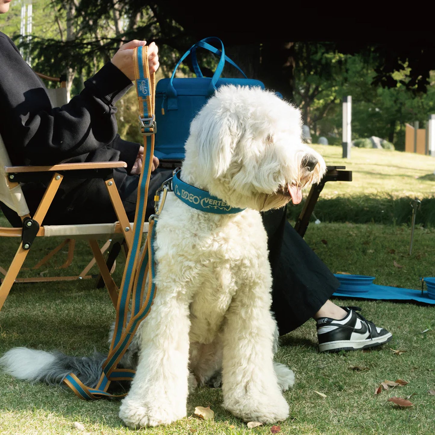 Doco Vertex Dog Collar