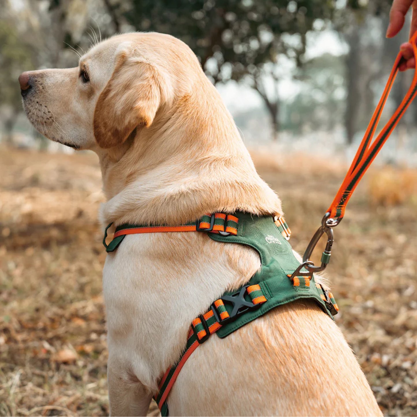 Doco Vertex Dog Harness