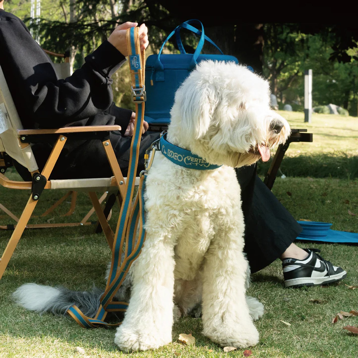 Doco Vertex Dog Leash